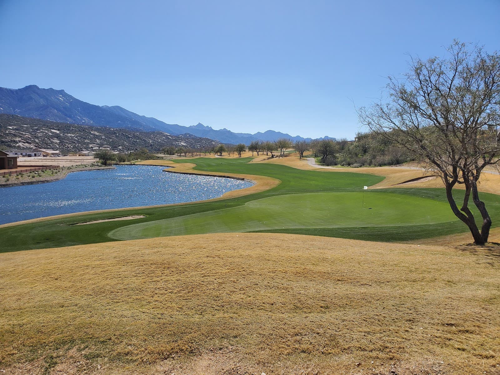 Saddlebrooke - Preserve Course — MountainView Collegiate