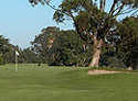 Marshallia Ranch Golf Course