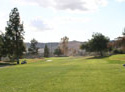 El Prado - Chino Creek Course