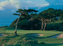 The Olympic Club - Cliffs Course