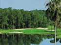 Walt Disney World Golf Complex - Palm Course