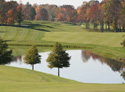 Wedgewood Golf and Country Club