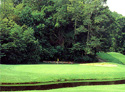 Tanglewood Park - Reynolds Course