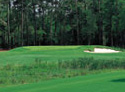Carter Plantation Golf Club