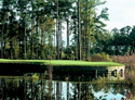 The Country Club of Landfall - Pete Dye Course