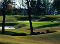 The Country Club of Landfall - Jack Nicklaus Course