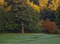 Lake Padden Golf Course