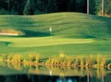 Gold Mountain Golf Course - Olympic Course