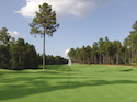 Pinewild Country Club - Magnolia Course