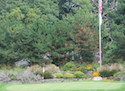 West Shore Golf & Country Club