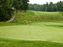 Geneva National Golf Club - Trevino Course