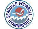 Seagulls Four-Ball