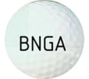 Bloomington Normal Medal Play Championship
