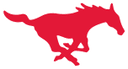 Veritex Bank Collegiate