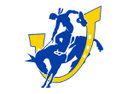 Men's Arkansas Collegiate