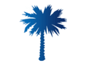 Palmetto HS Golf Championships