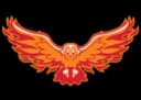 FireHawk Collegiate