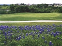 Wildflower Country Club