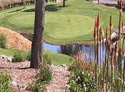 La Contenta Golf Club