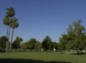 Dobson Ranch Golf Course