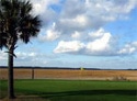 Dataw Island Club - Cotton Dyke Course