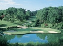Golden Horseshoe Golf Club - Gold Course