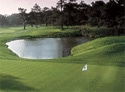 Myrtlewood Golf - PineHills Course
