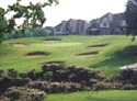 Walnut Creek Country Club - Oak Course