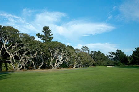 Site of one round of play