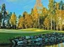 Linna Golf