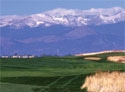 Colorado National Golf Club