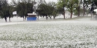 -- Texas Golf Association