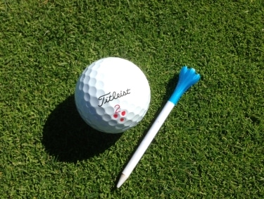 -- amateurgolf.com Photo