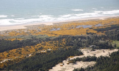 The sandy, wooded area is 6 miles from town center