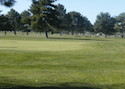 Purple Sage Golf Course