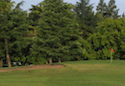Swenson Park Golf Course