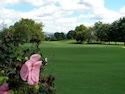 Green Meadow Country Club