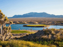Las Vegas Paiute Resort - Wolf Course