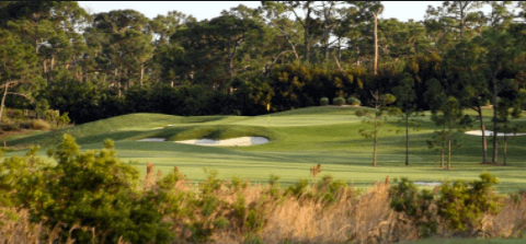 The Fox Club <br>(The Fox Club Photo)