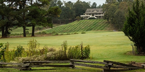 Eight teams remain at Musgrove Mill Golf Club