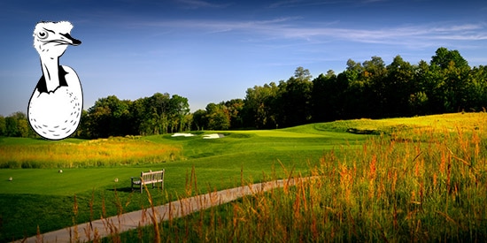 Matt Meyer and Matt Wills lead The Egg Invitational at Mayfield Sand Ridge Golf Club