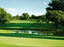 Glendower Golf Club