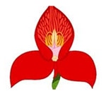 Western Province Amateur Championship