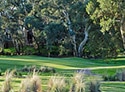 The Vines Golf Club of Reynella