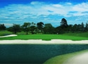 The Royal Golf Club