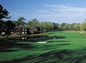 Diamondhead Country Club - Pine Course