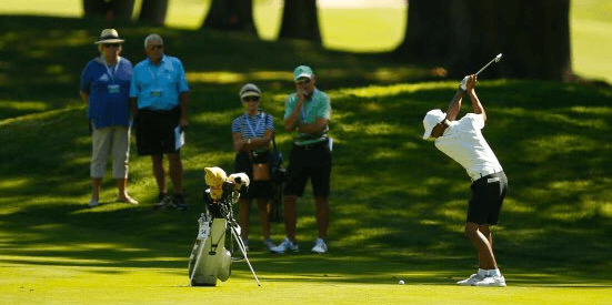 Robin Williams <br>(Twitter Photo)