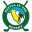 Battle In The Desert