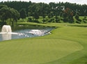 International Golf Club