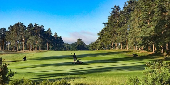 (Hankley Common/Twitter photo)